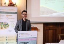 Novelda propone la revisión de la normativa que regula los parques fotovoltaicos