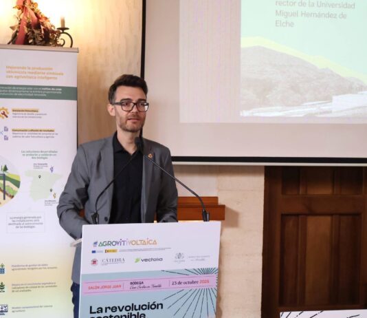 Novelda propone la revisión de la normativa que regula los parques fotovoltaicos