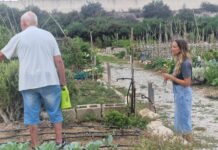 Elda refuerza el mantenimiento de los huertos ecológicos