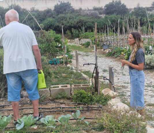 Elda refuerza el mantenimiento de los huertos ecológicos