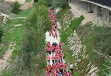 Aspe celebró la marcha solidaria de MACMA
