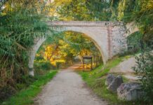 Aspe mejora el sendero de Tarafa con una subvención de la Diputación