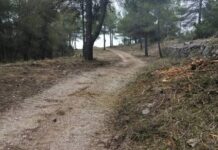 La Romana realiza trabajos de prevención de incendios