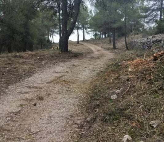 La Romana realiza trabajos de prevención de incendios