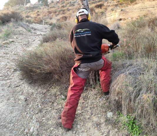 Novelda realiza trabajos de mejora en la Serra de la Mola y Clots de la Sal