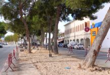 Aspe plantará especies vegetales autóctonas