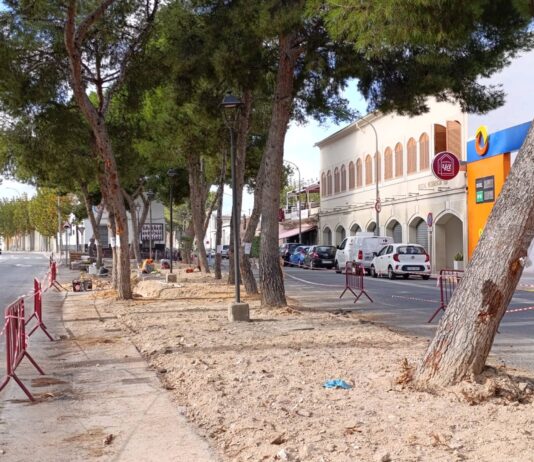 Aspe plantará especies vegetales autóctonas