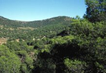 El Pinós continuará mejorando el PNM “Monte Coto”