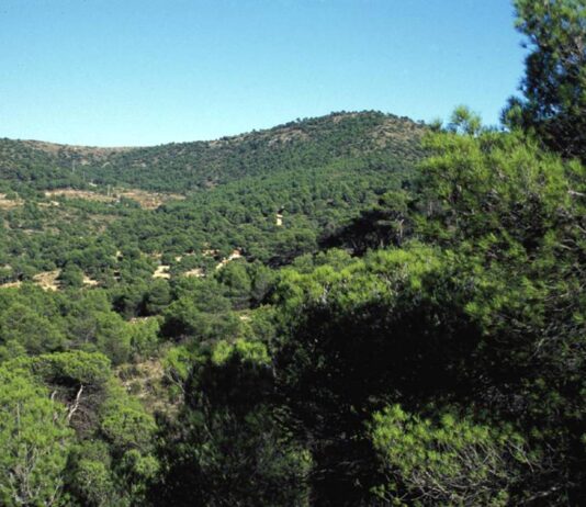 El Pinós continuará mejorando el PNM “Monte Coto”