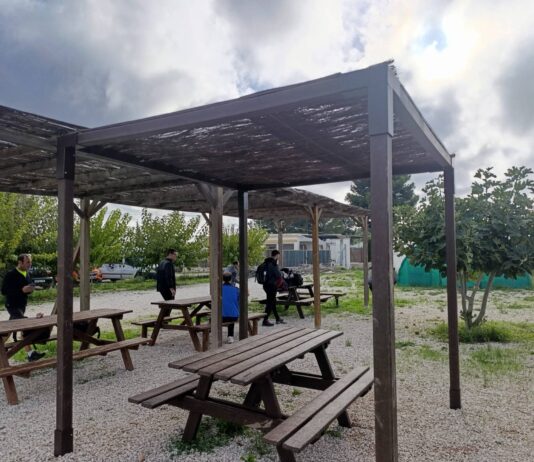 Aspe instala nuevas zonas de sombra en los huertos ecológicos y en el Aula de la Naturaleza