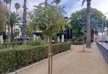 Aspe mejora las zonas verdes en parques y calles de la localidad