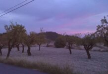 Petrer mejora el camino de Salinetas Altas