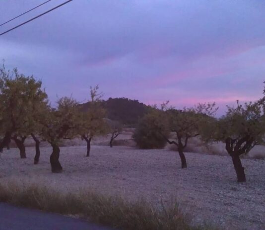 Petrer mejora el camino de Salinetas Altas