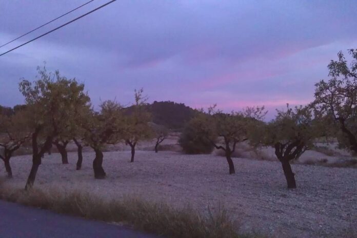 partida_salinetas_altas_petrer