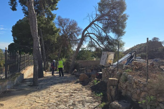 trabajos_mejora_forestal_novelda