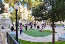 Técnicos en arboricultura estudian el estado de los pinos del Jardín de la Música