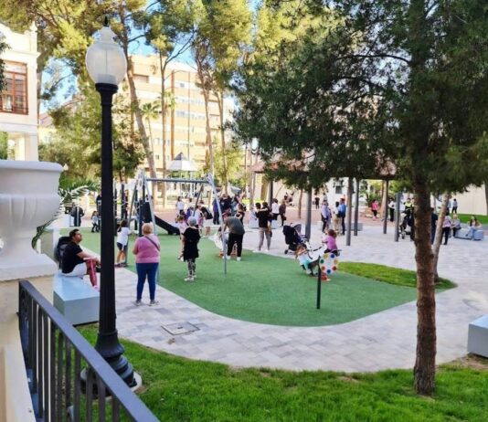 Técnicos en arboricultura estudian el estado de los pinos del Jardín de la Música