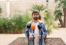 Novelda mejora y refuerza el arbolado tras el temporal de viento