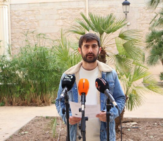 Novelda mejora y refuerza el arbolado tras el temporal de viento