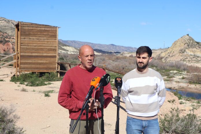 anillamiento_novelda_01