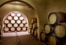 El vino y las bodegas protagonistas en Enotur de Villena