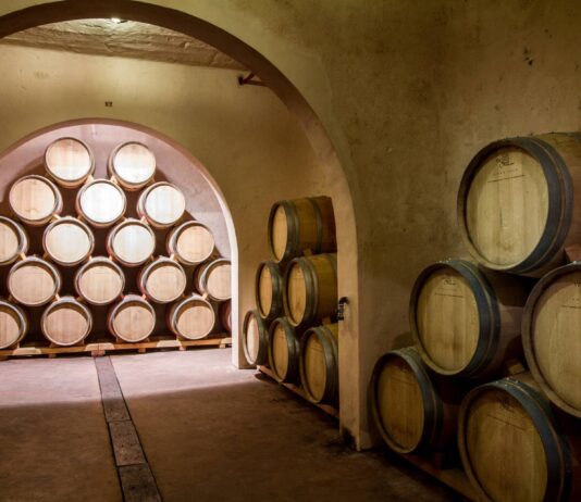 El vino y las bodegas protagonistas en Enotur de Villena