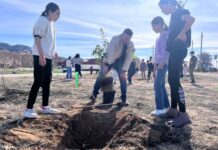 Villena celebra el Día del Árbol con más de 200 árboles plantados
