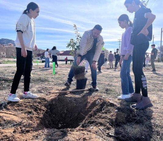 Villena celebra el Día del Árbol con más de 200 árboles plantados