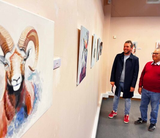 Marino Morote expone en el Centro Cultural de Petrer