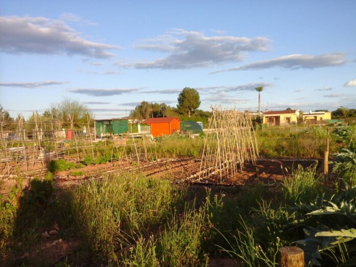 huerto_ecologico_aspe