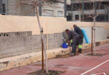 El Ayuntamiento realiza en enero 124 actuaciones en espacios públicos