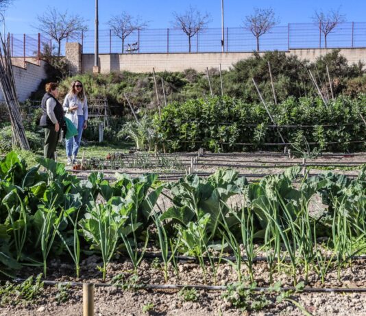 Elda inicia el plazo para solicitar las parcelas de los huertos ecológicos