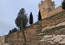 Villena realiza una reforestación en el entorno del Castillo