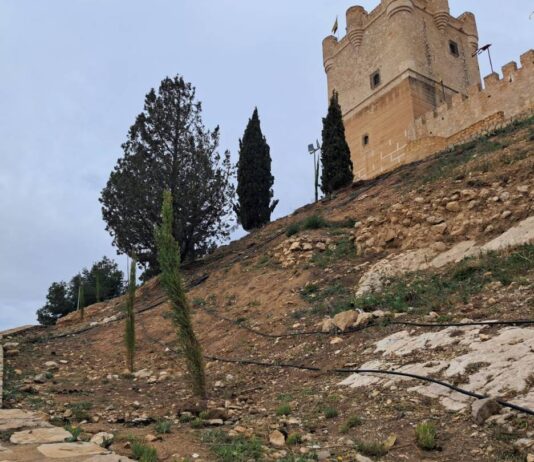 Villena realiza una reforestación en el entorno del Castillo