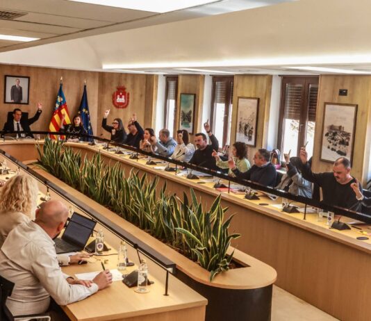 Elda aprueba una moción para el cumplimiento de la Ley de Dependencia