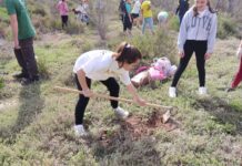Novelda pone en marcha la Campaña de Educación Ambiental