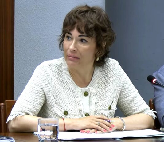 Novelda liquida su deuda histórica