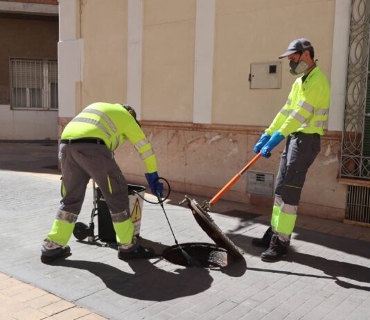 Novelda mantiene activa la campaña anual de control de plagas
