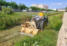 Novelda inicia el desbroce en el cauce urbano del río Vinalopó