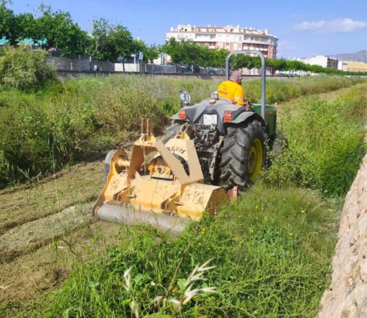 Novelda inicia el desbroce en el cauce urbano del río Vinalopó