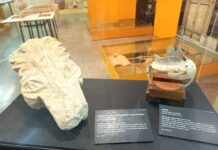 Novelda celebra el Día Internacional de los Museos