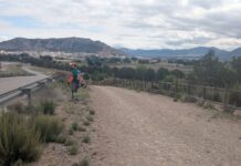 Villena mejora varias zonas verdes de la localidad