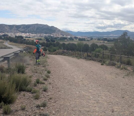 Villena mejora varias zonas verdes de la localidad