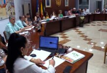 Novelda rechaza dos proyectos de plantas fotovoltaicas