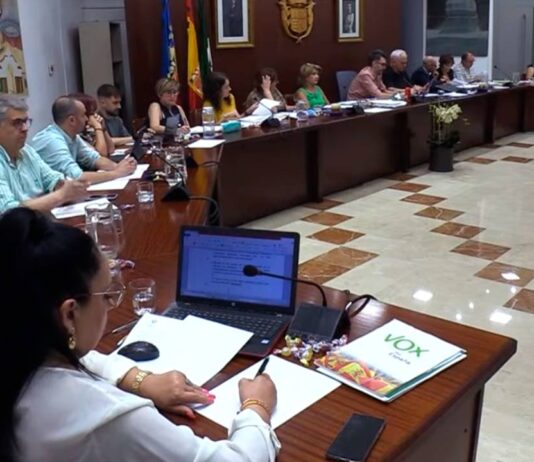 Novelda rechaza dos proyectos de plantas fotovoltaicas