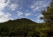 Petrer realiza trabajos de prevención de incendios en Catí