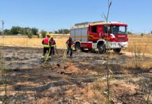 El Pinós sufre en primer incendio de este verano