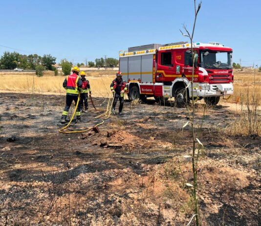 El Pinós sufre su primer incendio de este verano