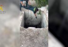 La Guardia Civil rescata a un zorro atrapado en un pozo de cuatro metros en Aspe