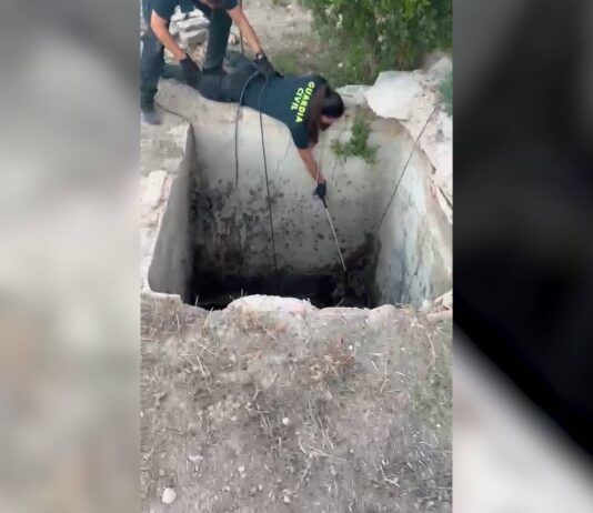 La Guardia Civil rescata a un zorro atrapado en un pozo de cuatro metros en Aspe